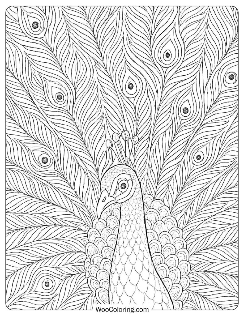 coloring pages for adults pdf free coloring pages for adults pdf free