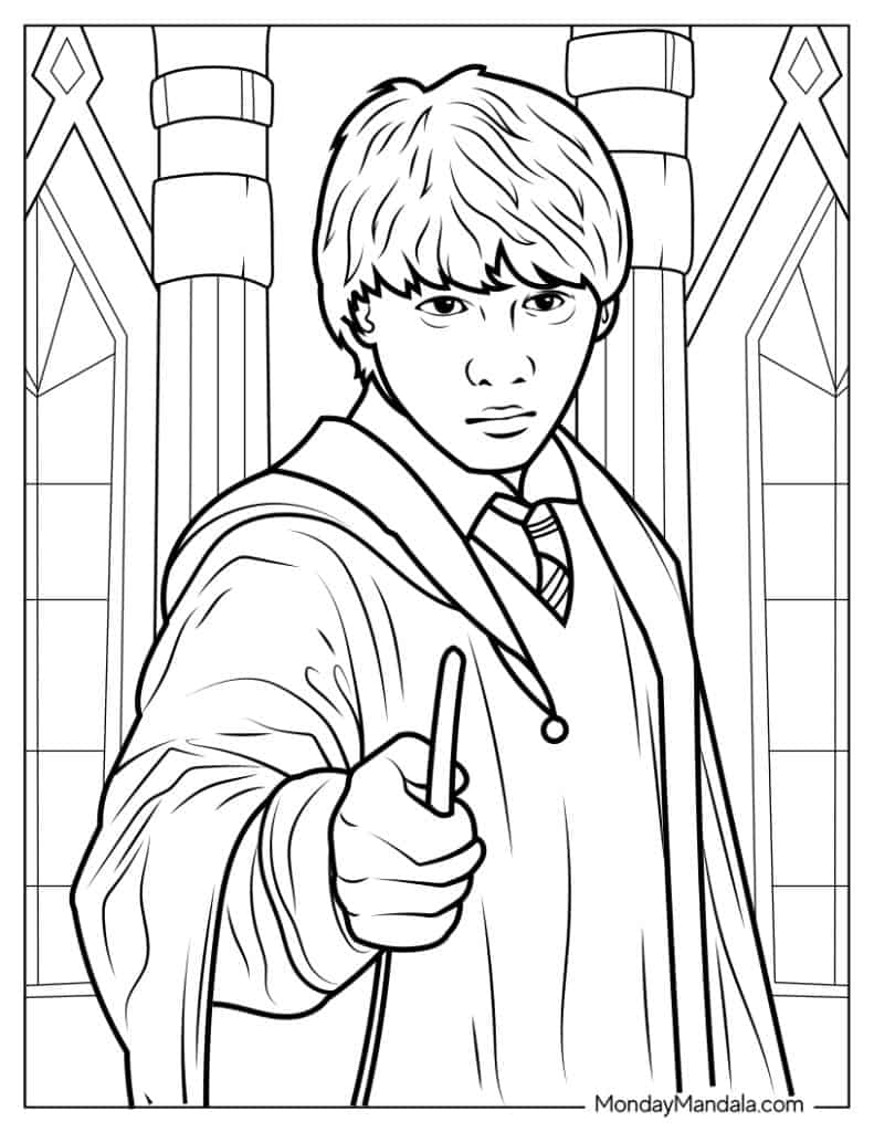 44 Harry Potter Coloring Pages Free PDF Printables 