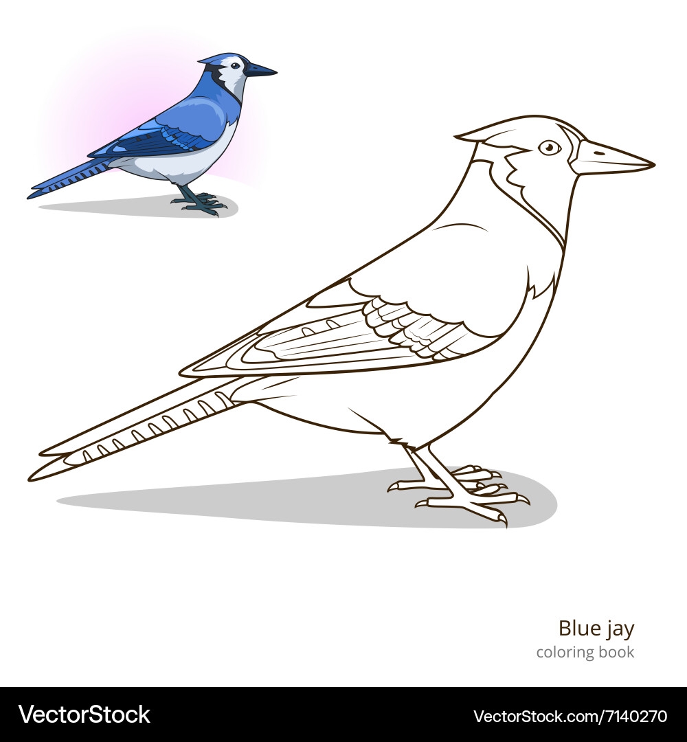 blue bird coloring pages