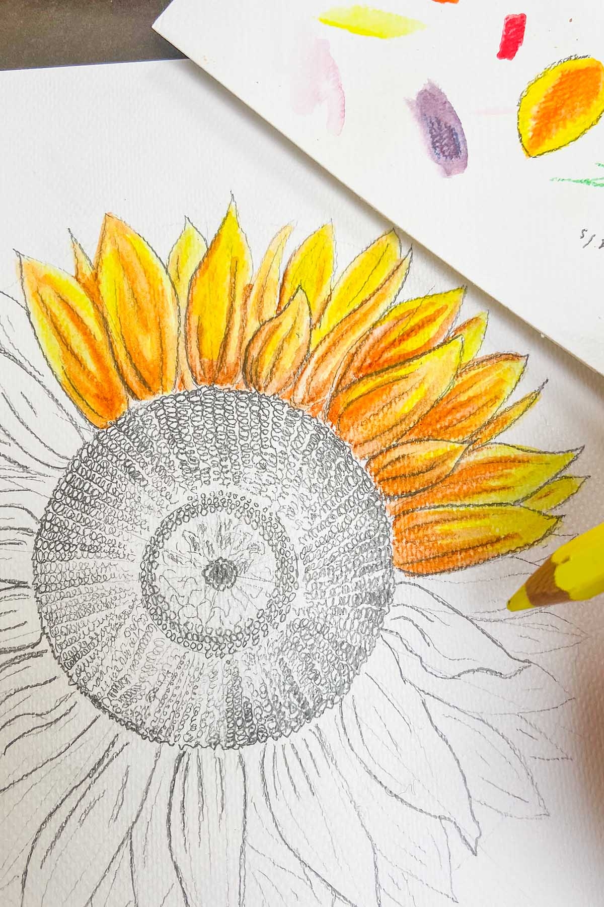 sunflower drawing step by step