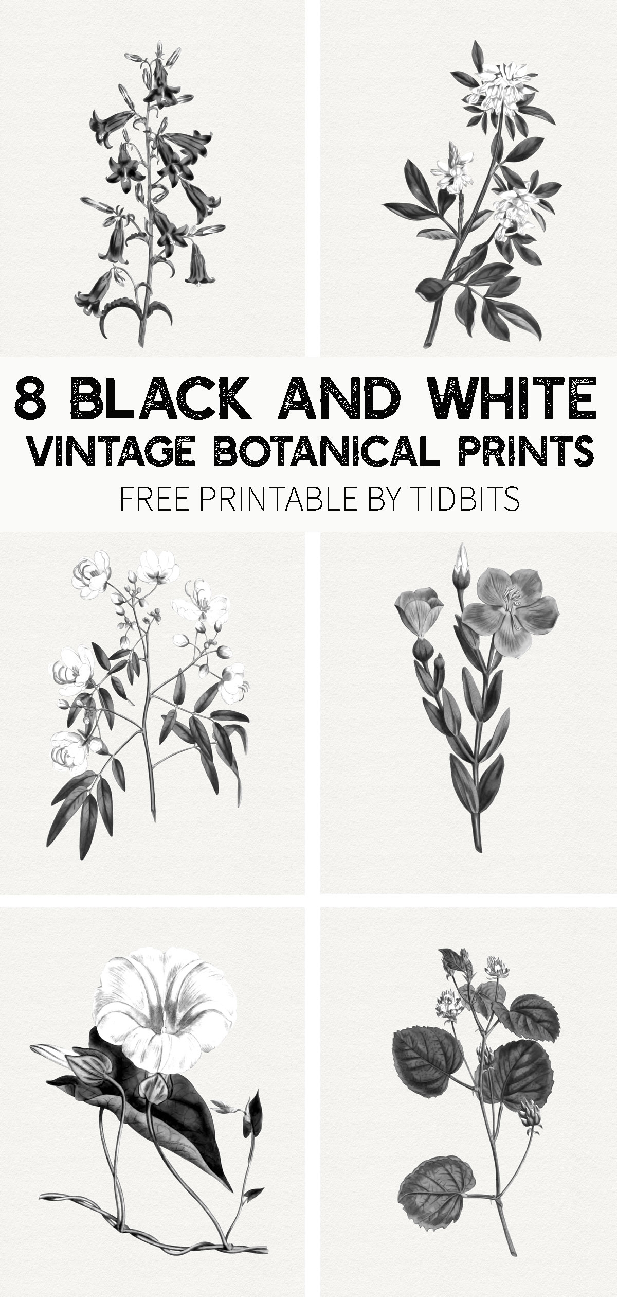 black and white printable images