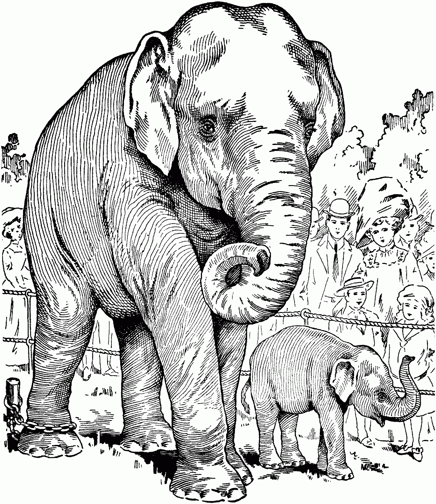 Free Elephant Coloring Pages