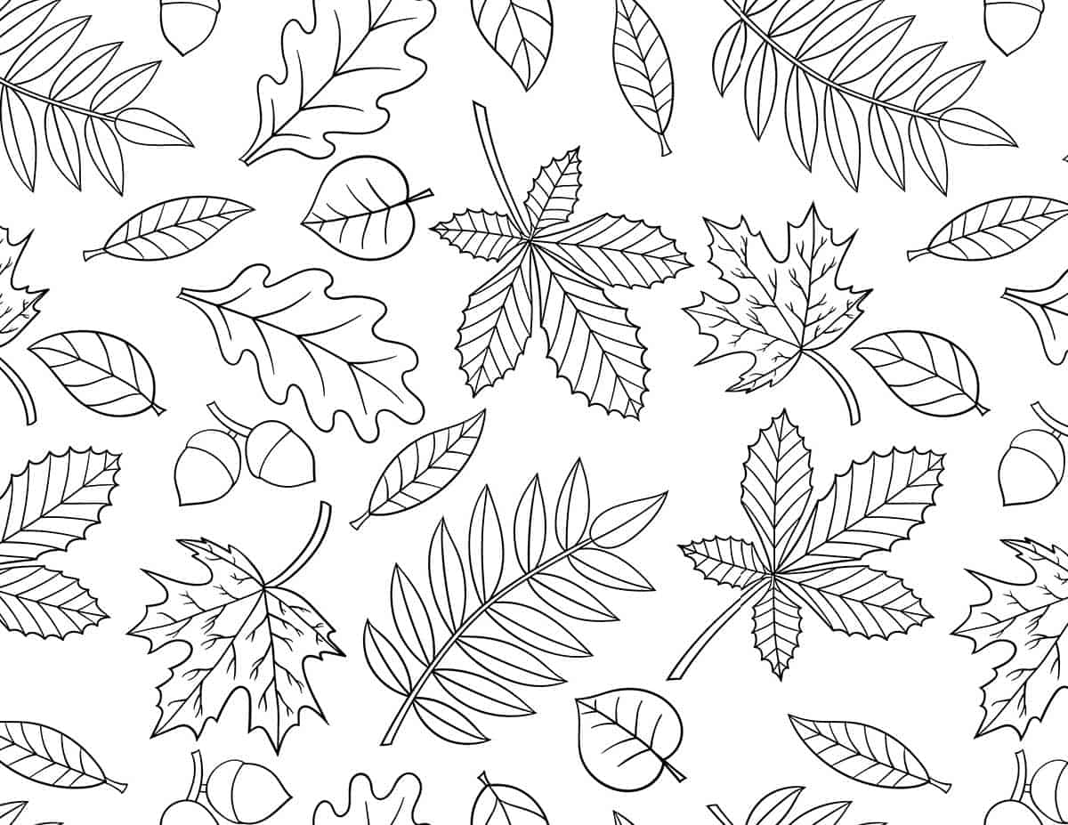 FREE Printable Fall Coloring Pages Skip To My Lou FREE Printable Fall Coloring Pages Skip To My Lou