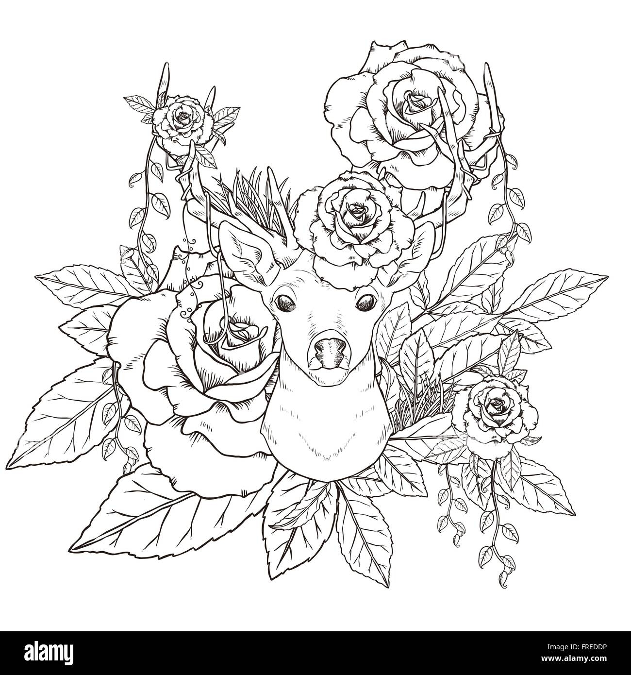 Graceful Deer Coloring Page In Exquisite Style Stock Vector Image Art Alamy