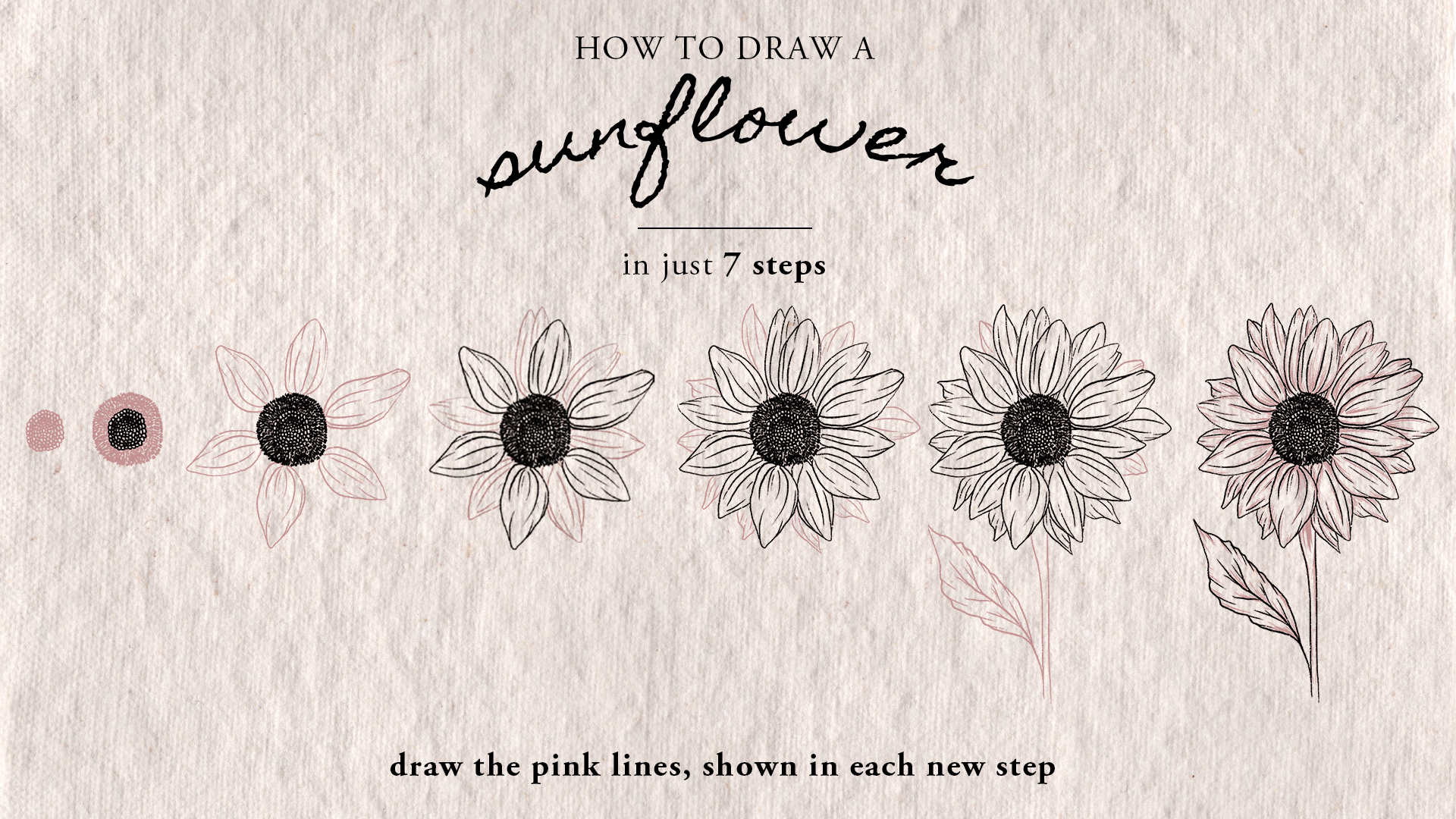 How To Draw Sunflowers Real Time Video Tutorial Felicity Ink