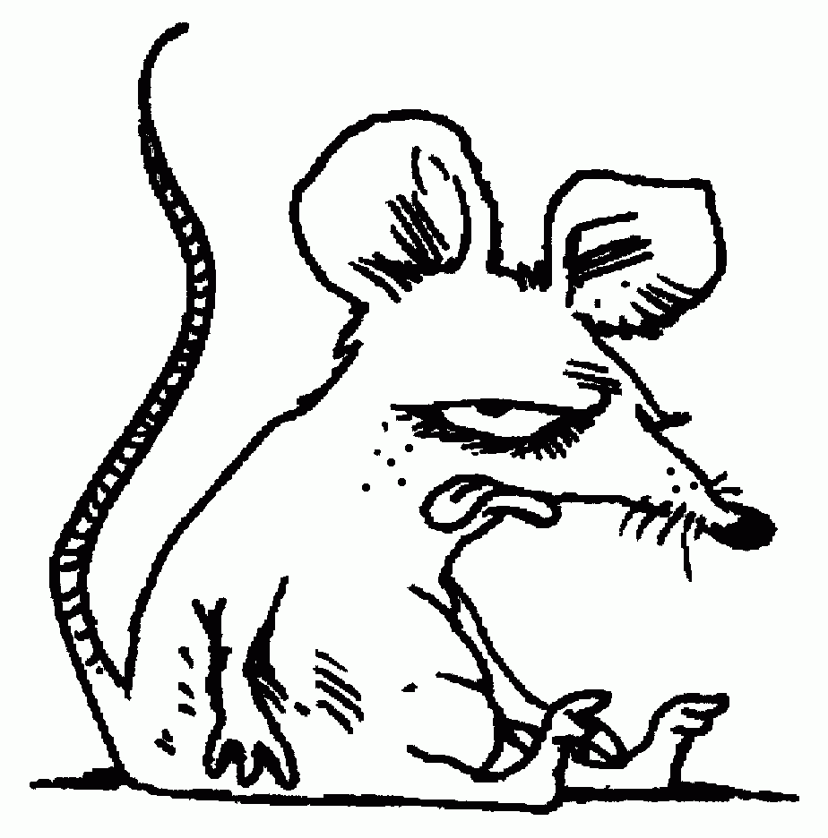 Rat Coloring Page Animals Town Animals Color Sheet Rat Free Printable Coloring Pages Animals
