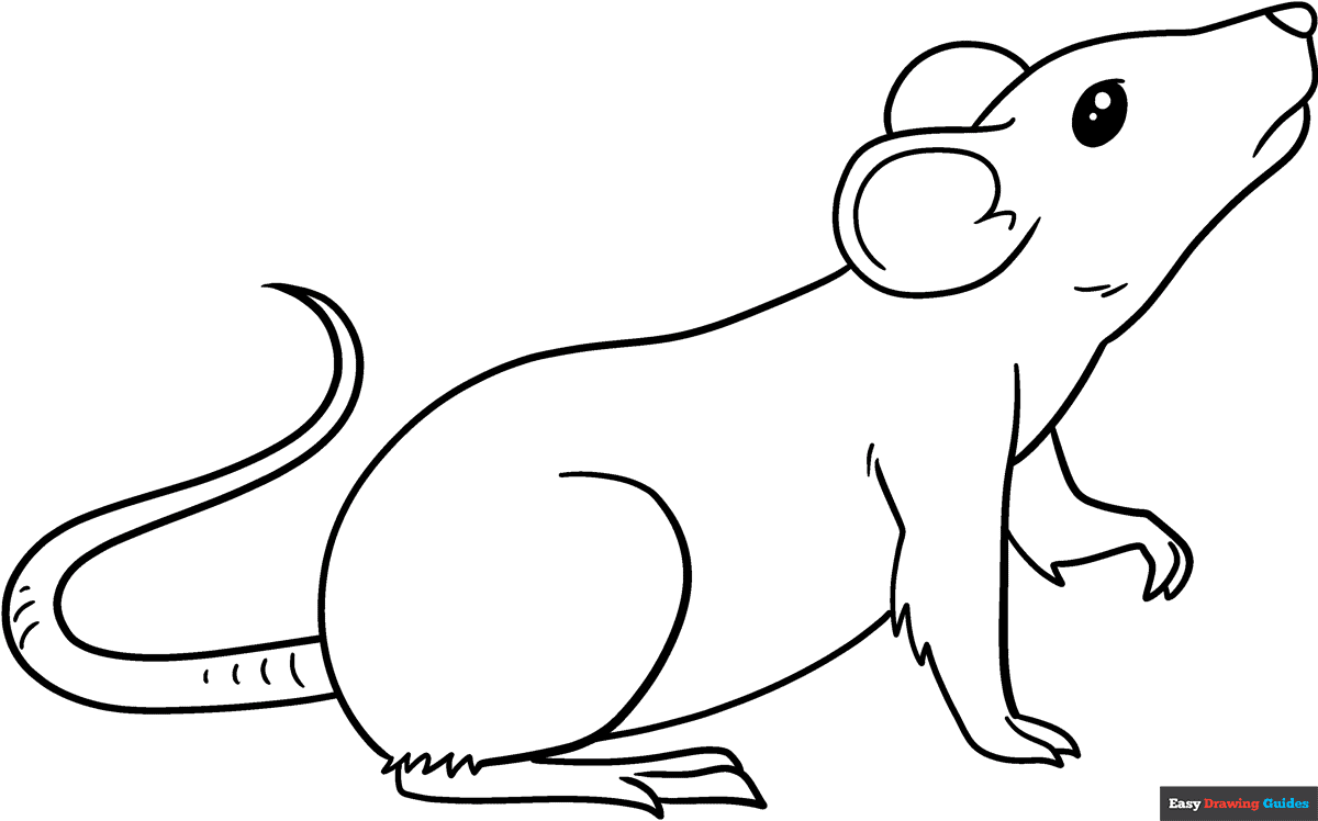 rat pictures to color rat pictures to color