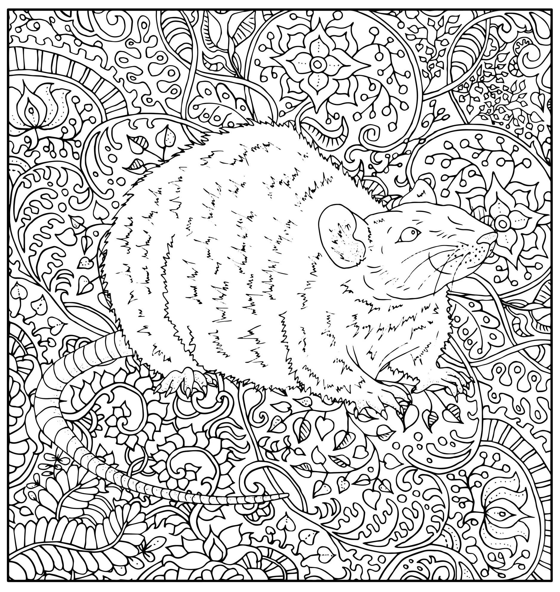 Rat On Floral Patterns Mouse Coloring Pages For Adults Rat On Floral Patterns Mouse Coloring Pages For Adults