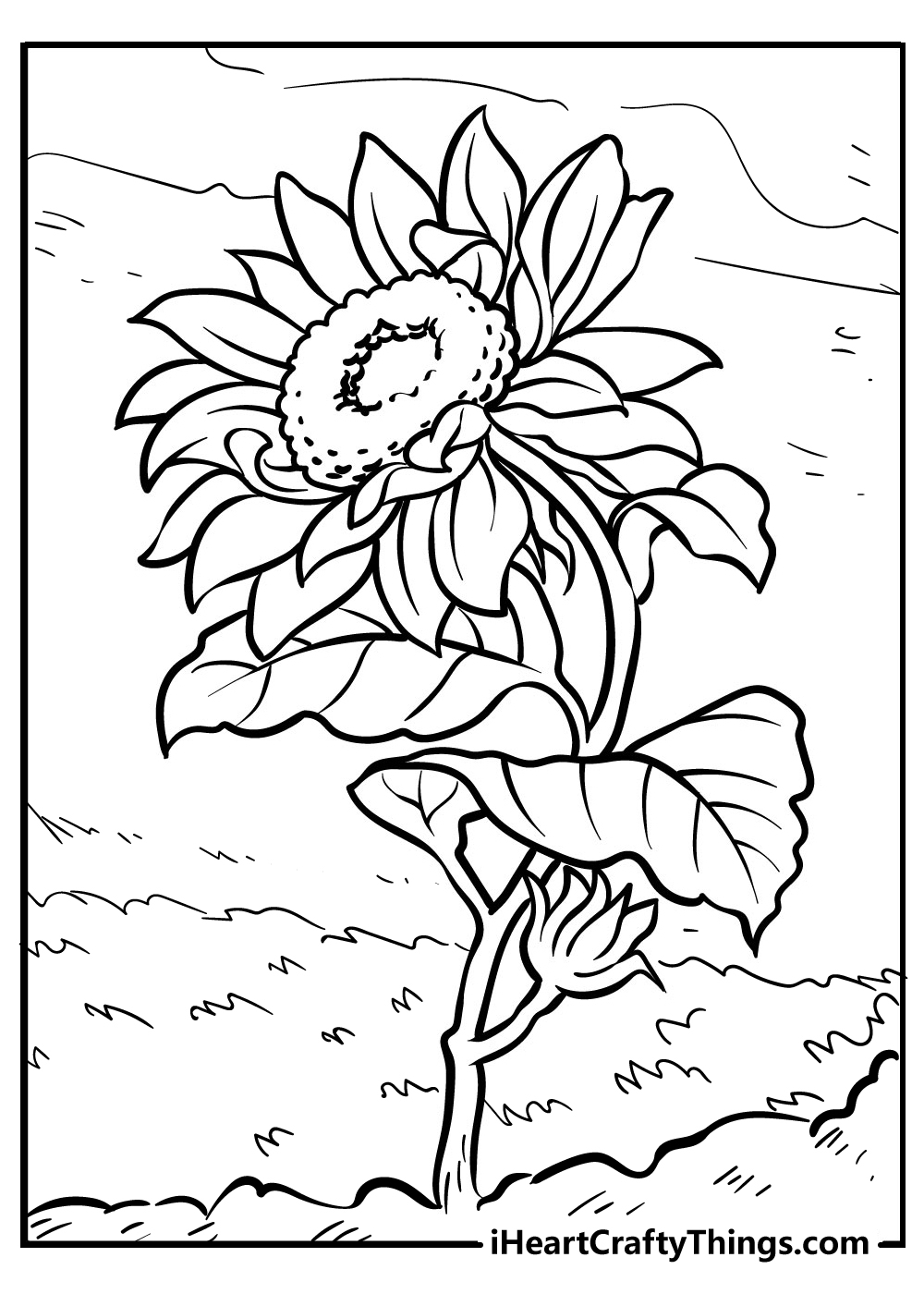 sunflower coloring pages free sunflower coloring pages free