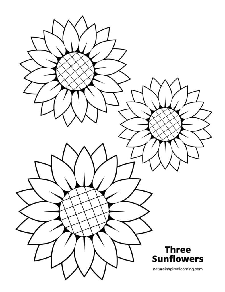 printable sunflower coloring pages for adults printable sunflower coloring pages for adults