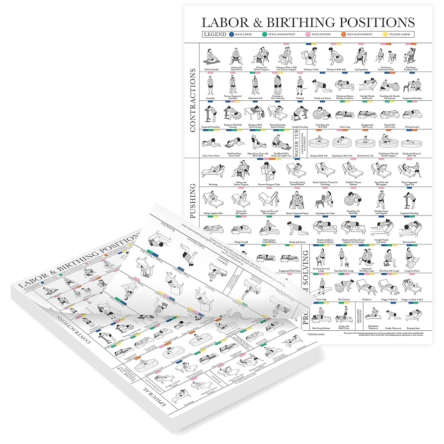 Amazon Palace Learning Labor Birthing Positions Tearsheet Handout Childbirth Education For Doula Midwife Or Birthworker Set Of 100 8 5 X 11 Sports Outdoors