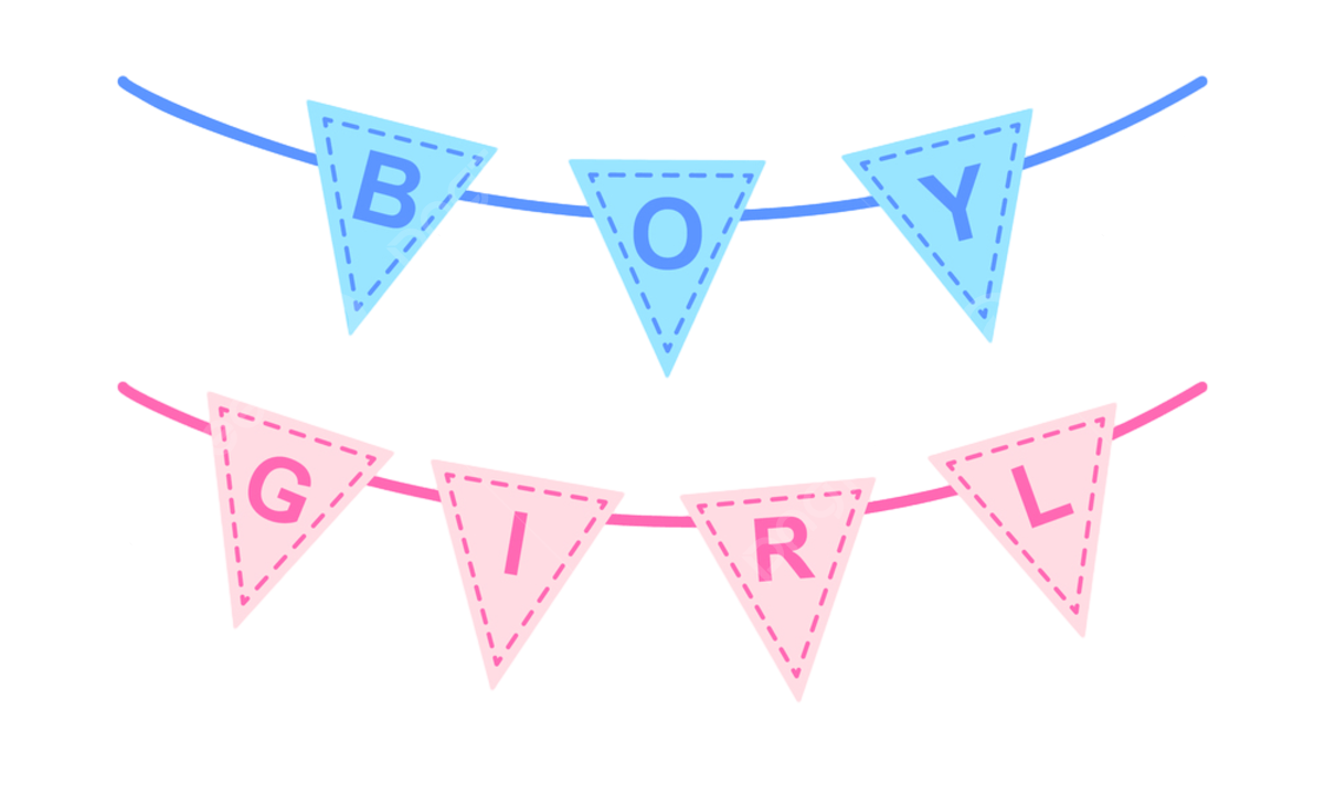 gender reveal printable banner