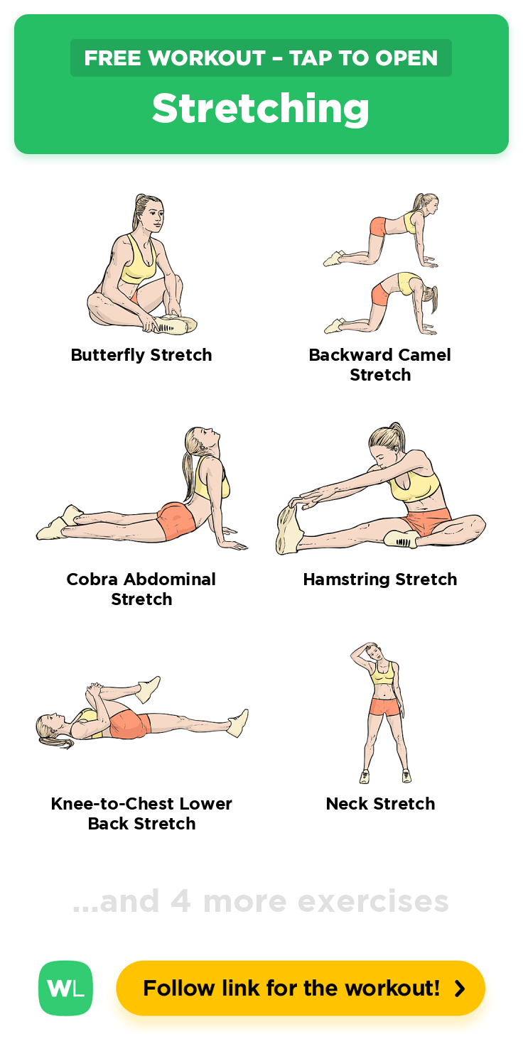 Free Workout Stretching WorkoutLabs Fit