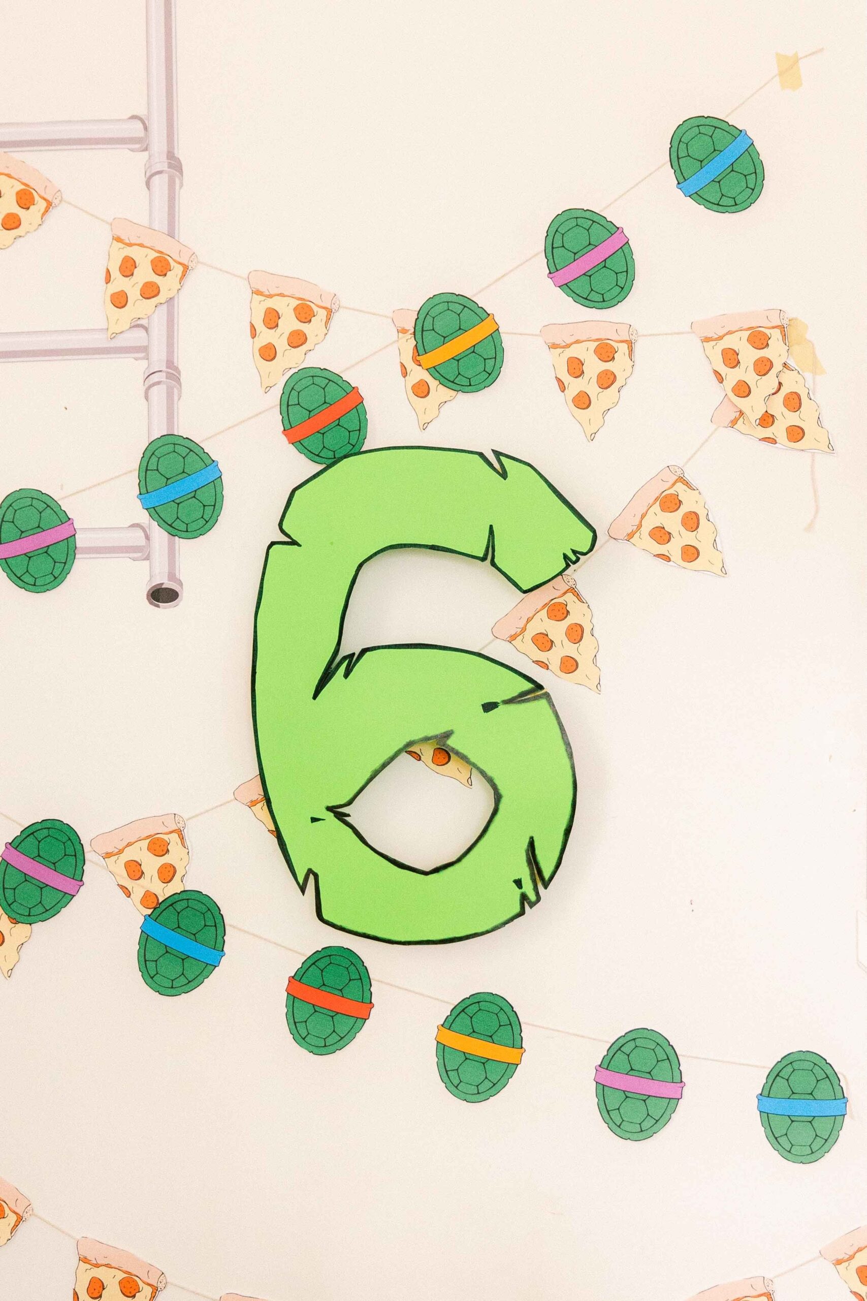 TEENAGE MUTANT NINJA TURTLE BIRTHDAY PARTY Plaited Portraits