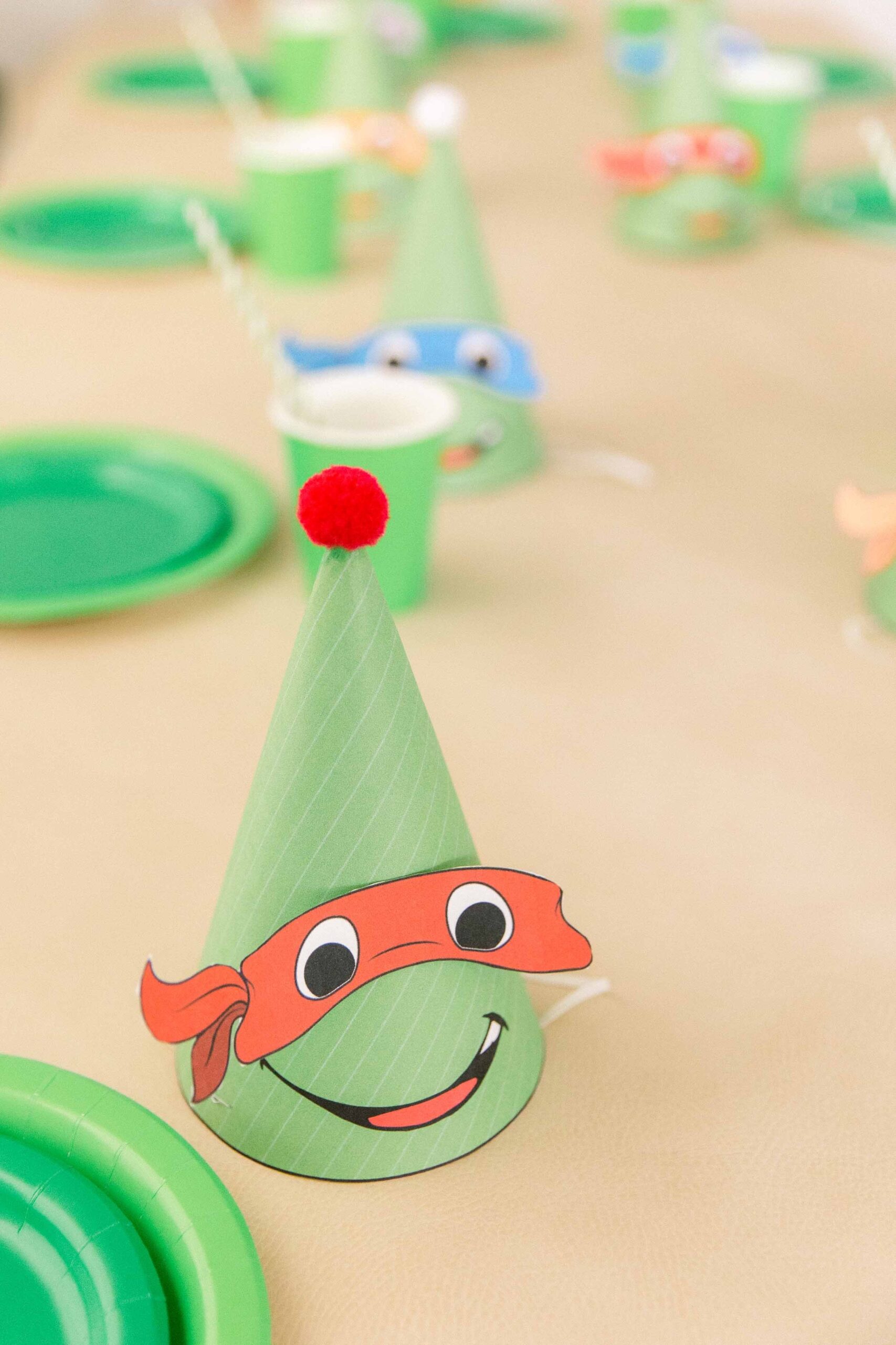 TEENAGE MUTANT NINJA TURTLE BIRTHDAY PARTY Plaited Portraits