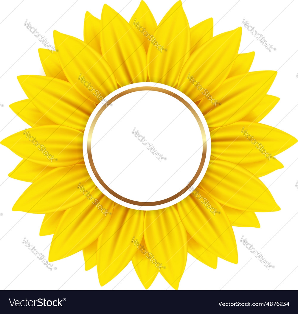 Yellow Sunflower Banner Royalty Free Vector Image
