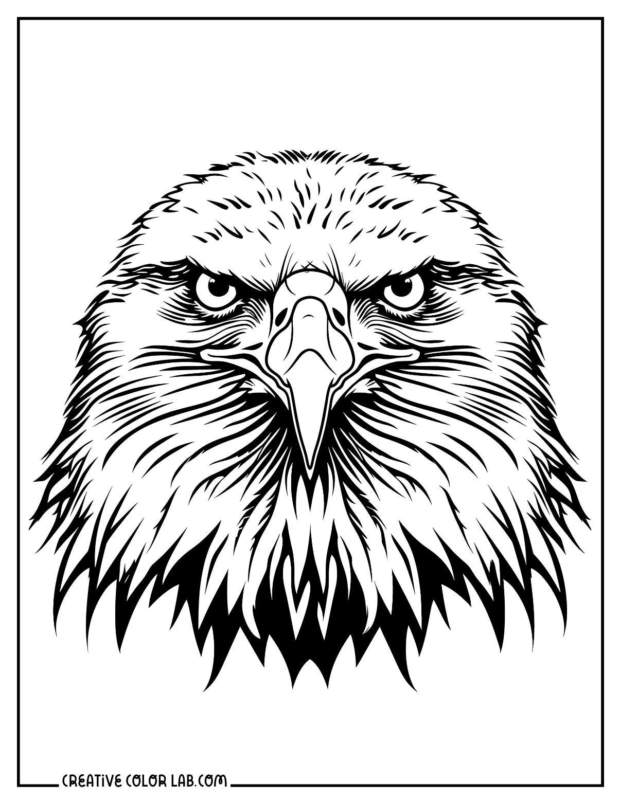 american bald eagle coloring page american bald eagle coloring page
