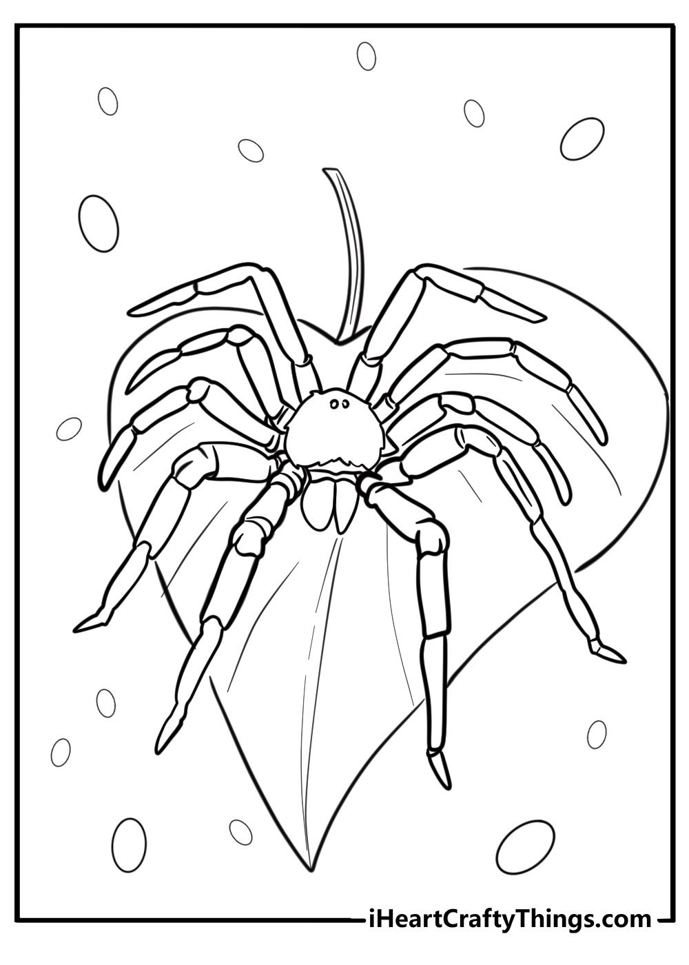 printable spider coloring pages