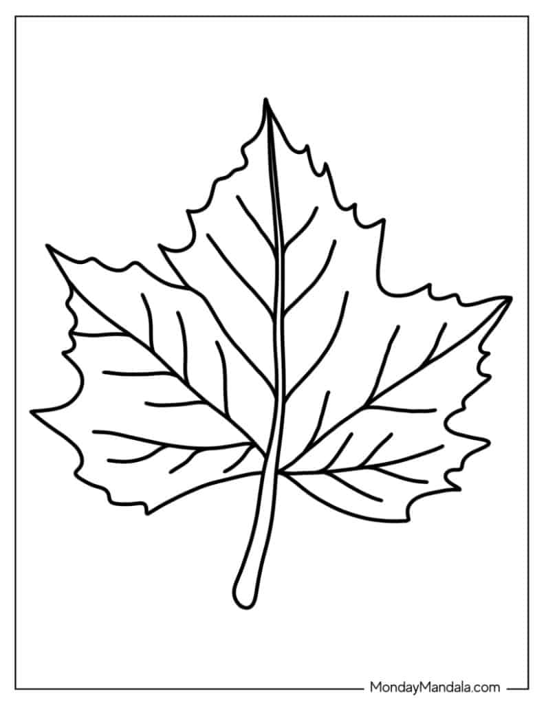 34 Leaf Coloring Pages Free PDF Printables 