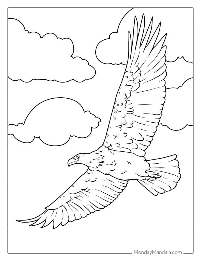 35 Bald Eagle Coloring Pages Free PDF Printables