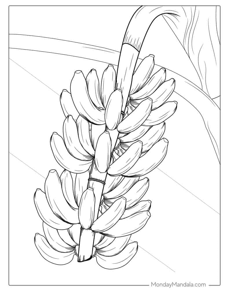 35 Banana Coloring Pages Free PDF Printables 