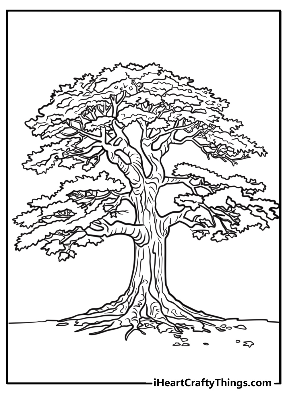 oak tree coloring page