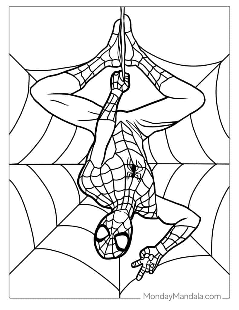 amazing spider man coloring sheets