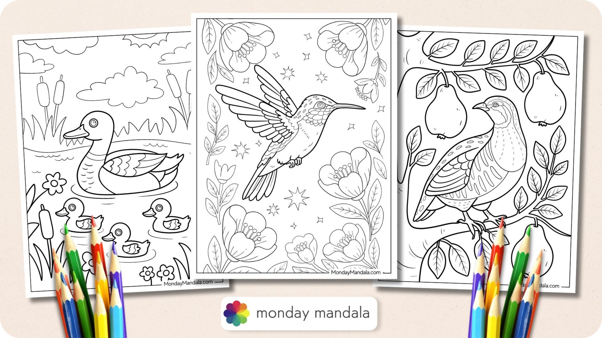 birds coloring pages for adults