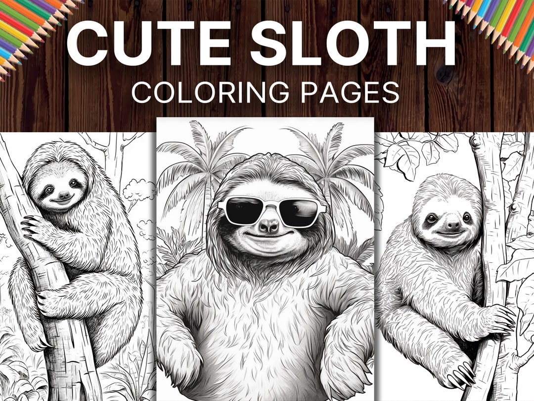 sloth coloring pages printable