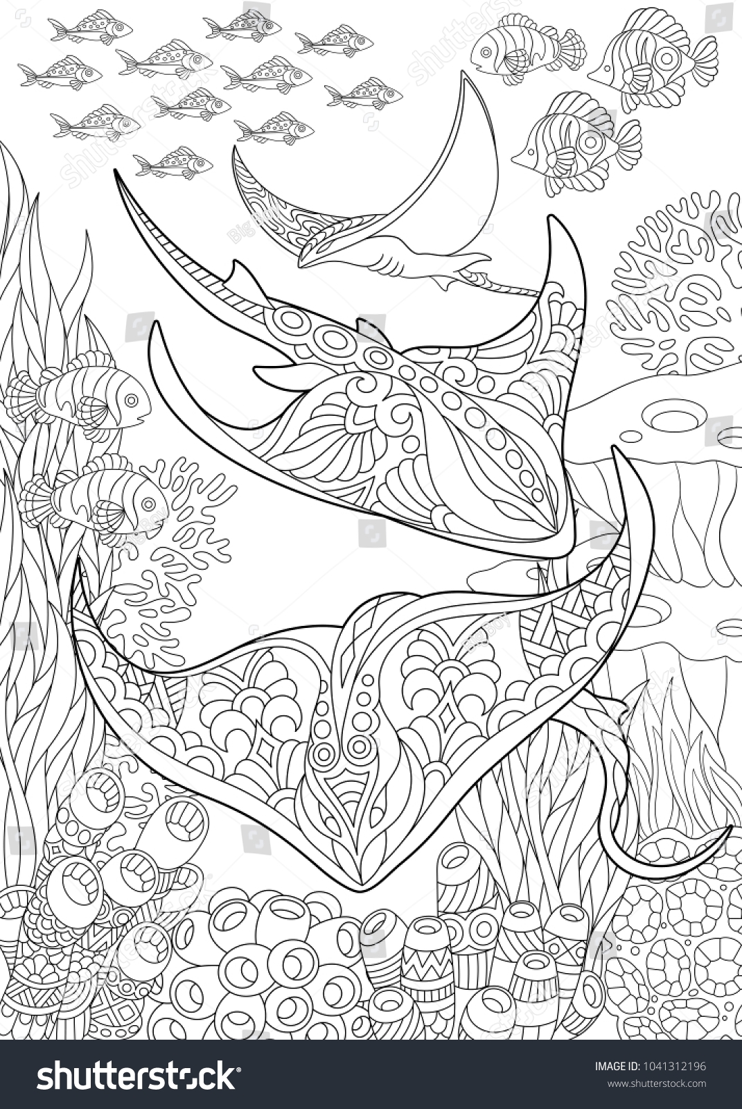 manta ray colouring pages