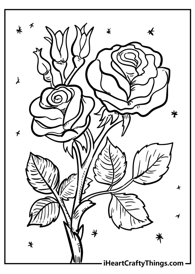 flower images colouring pages