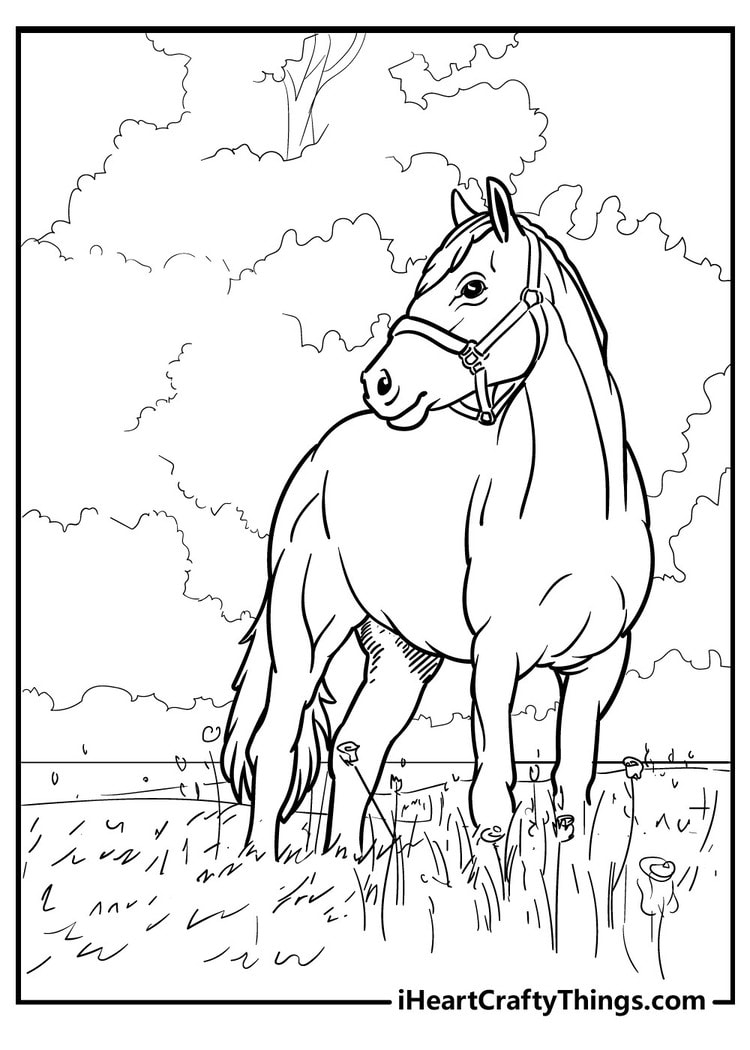 65 Horse Coloring Pages 100 Free Printables Worksheets Library