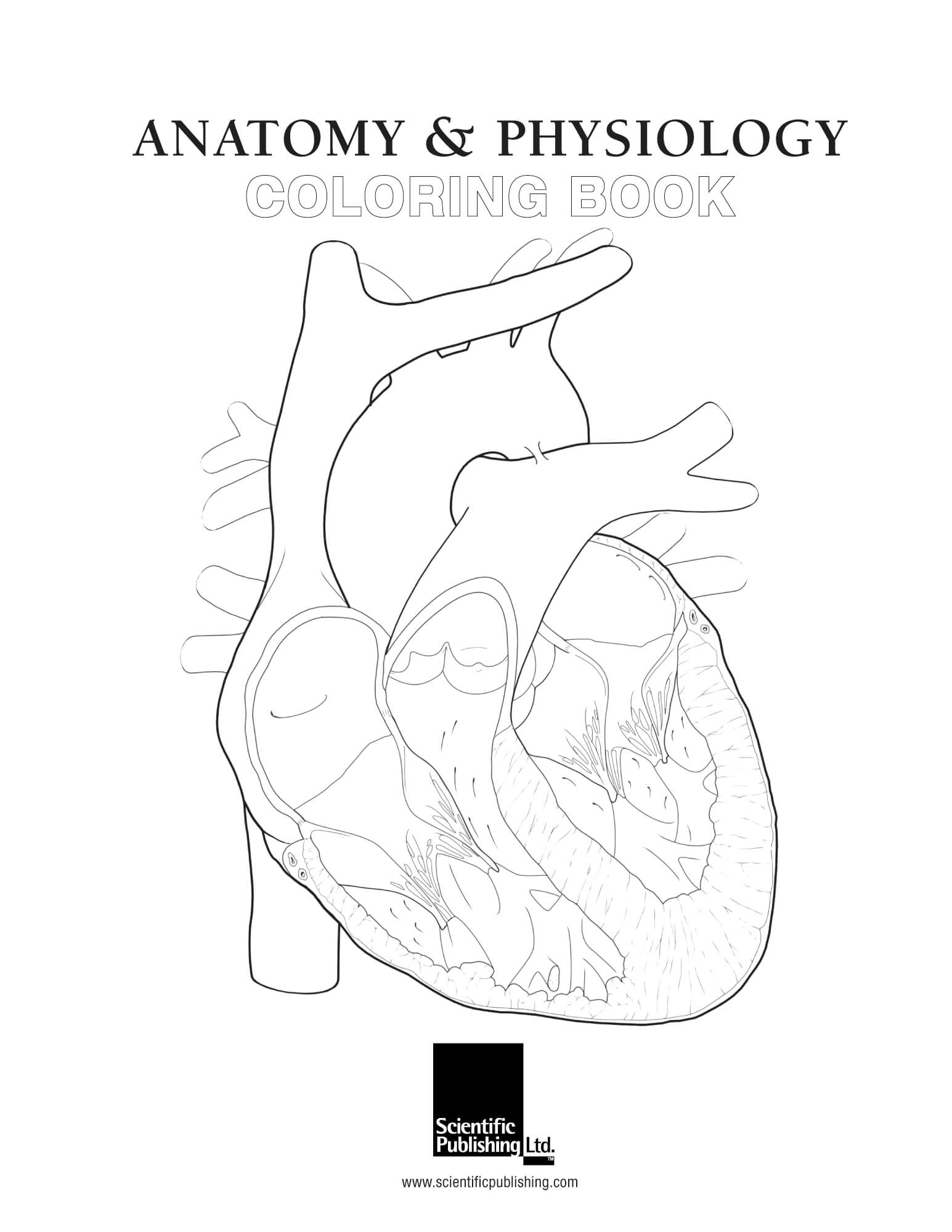 Anatomy Physiology Coloring Book Scientific Publishing Anatomy Physiology Coloring Book Anatomy Physiology Coloring Book Anatomy Physiology Coloring Book