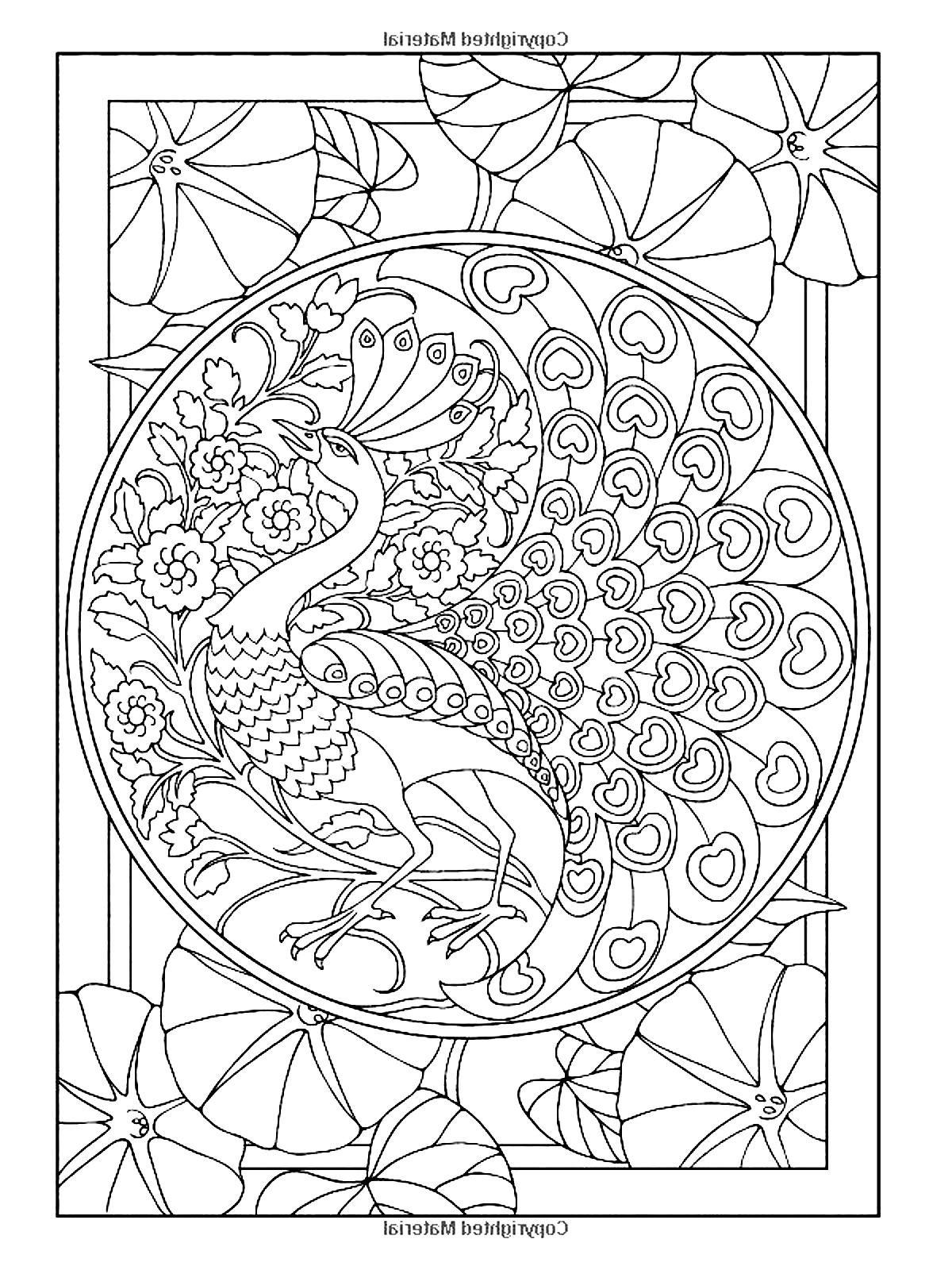 Art Nouveau Peacock Design Art Nouveau Coloring Pages For Adults