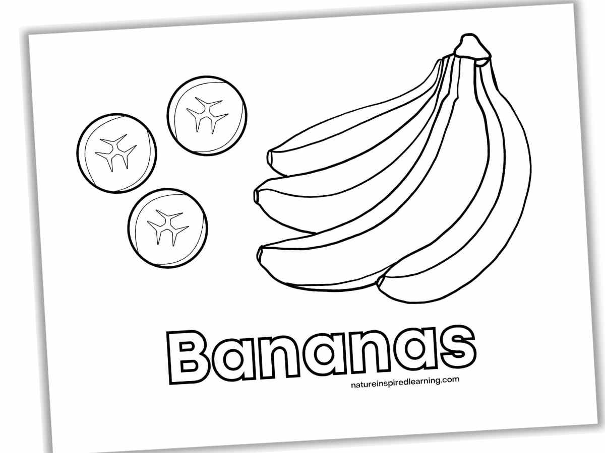 Banana Coloring Pages Nature Inspired Learning