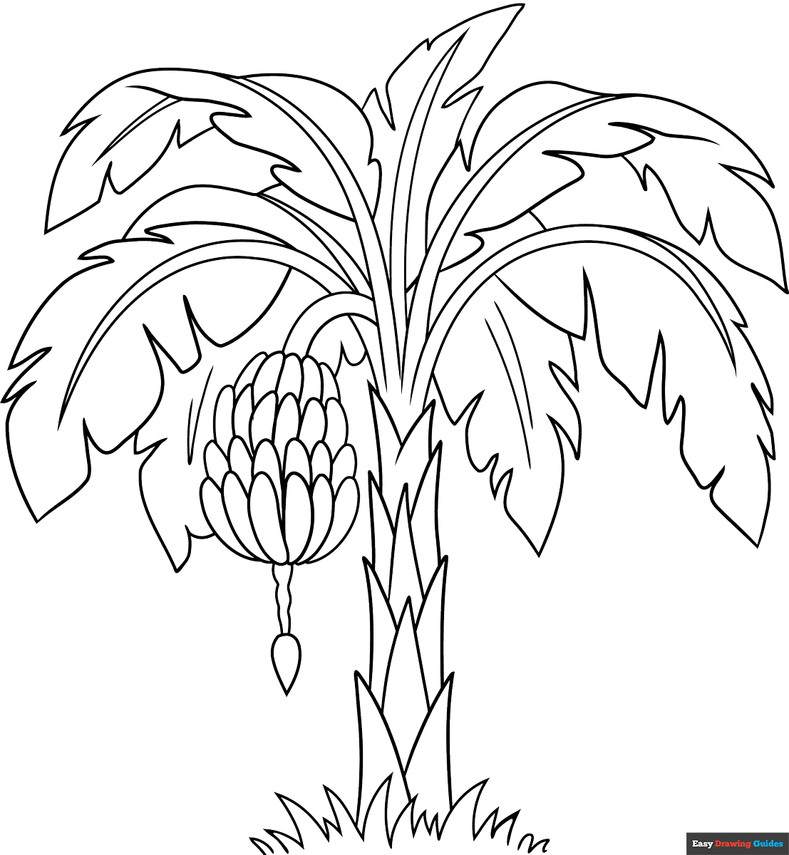 Banana Tree Coloring Page Easy Drawing Guides