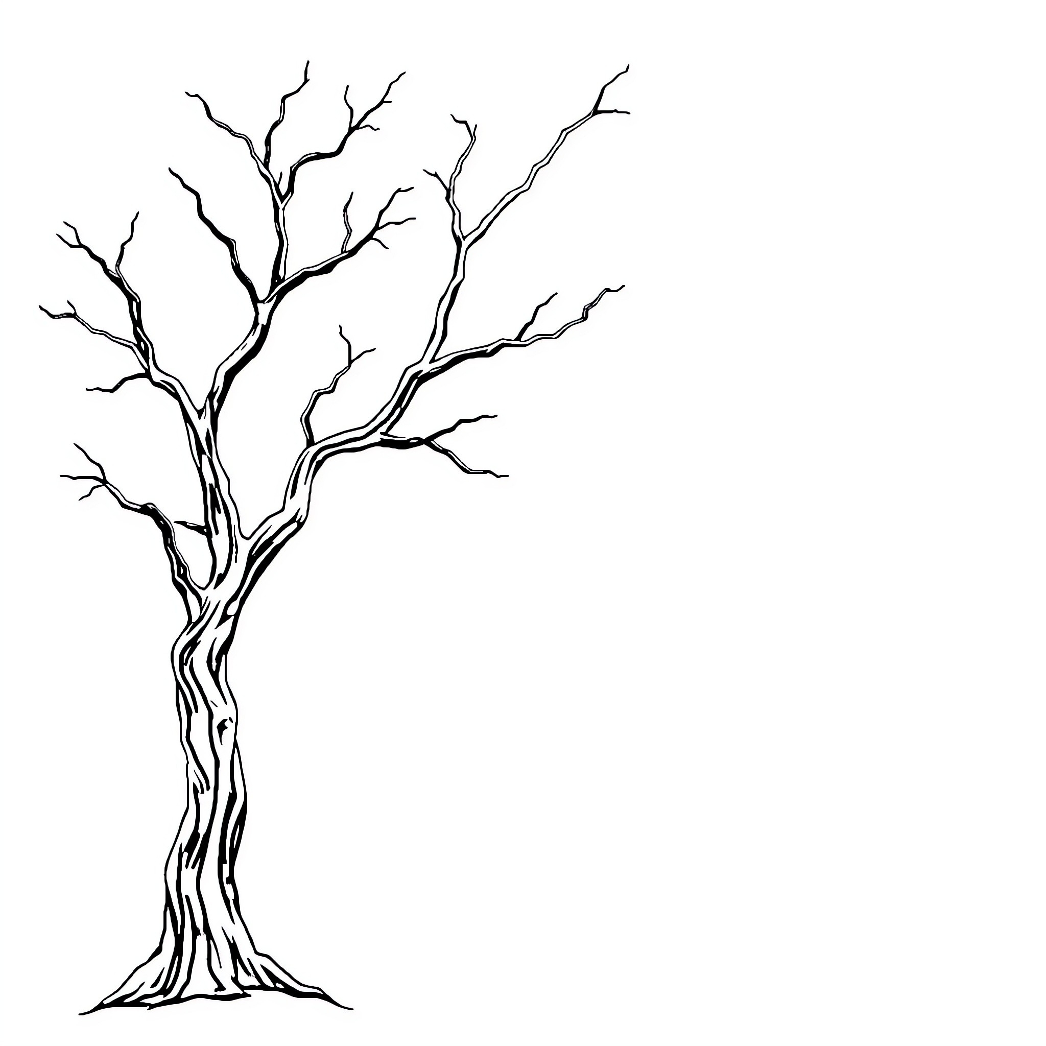 Best Tree Branches Coloring Pages Free Printable PDF 