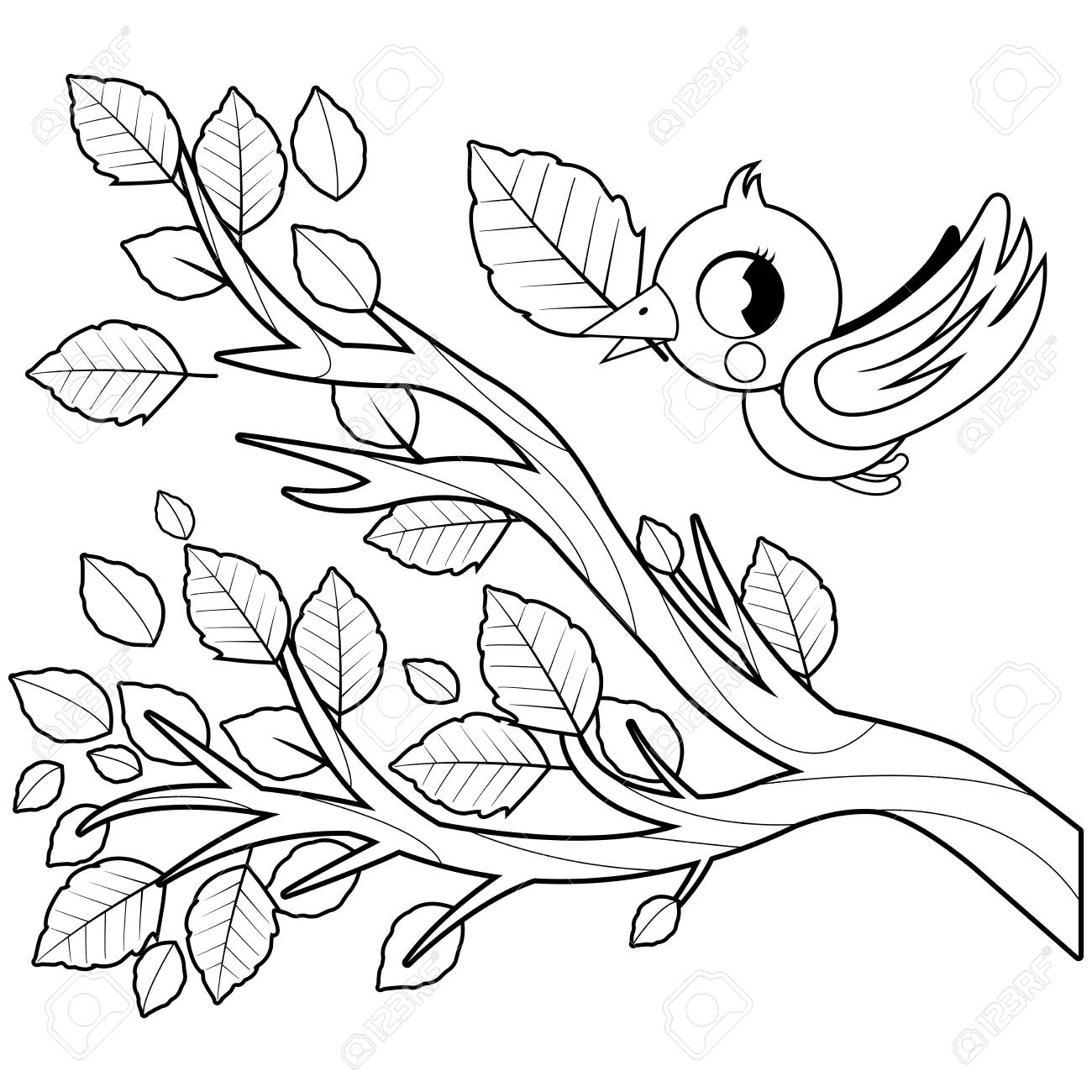 Bird And Tree Branch With Leaves Black And White Coloring Book Page Royalty Free SVG Cliparts Vectors And Stock Illustration Image 96238376 