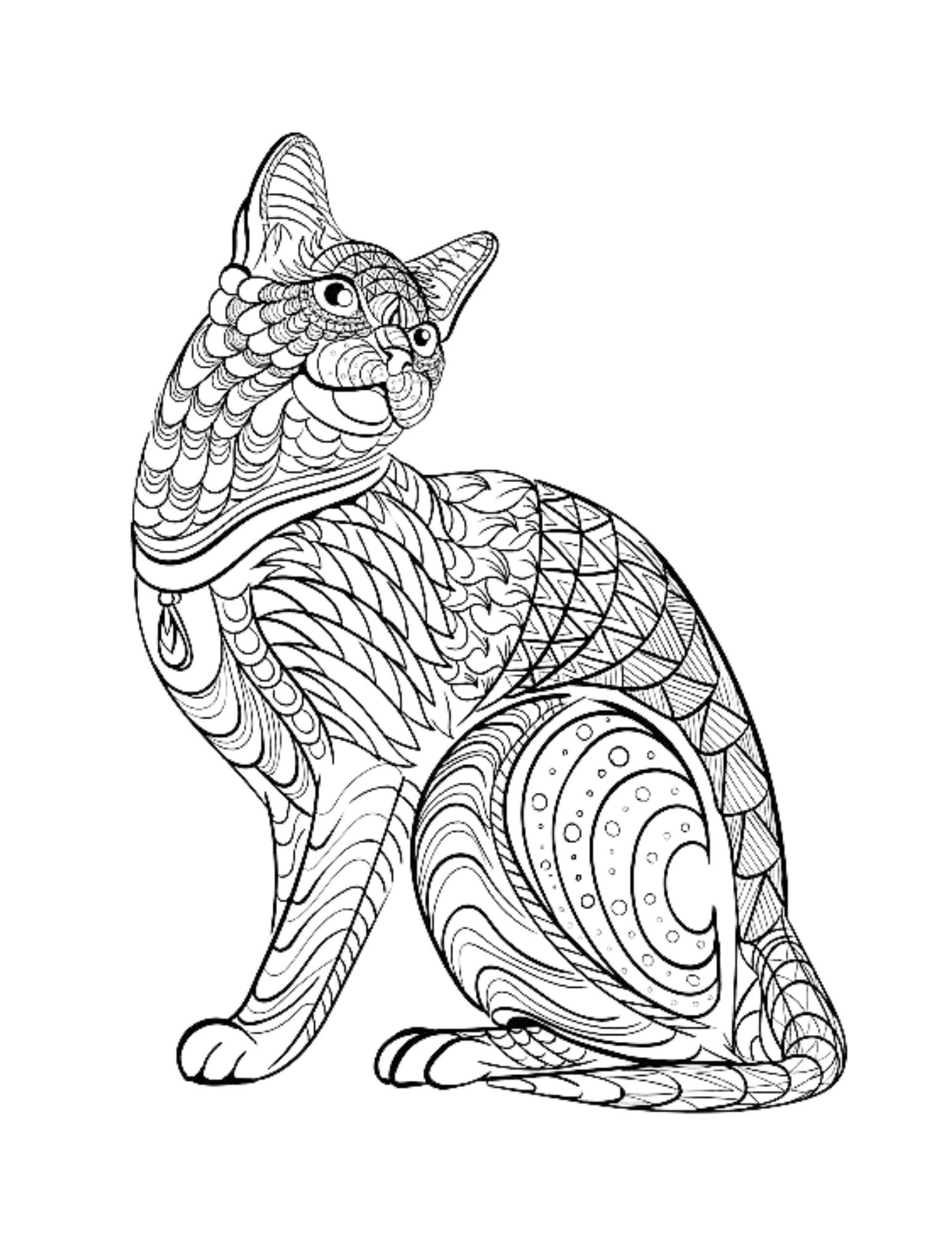 Cat Mandala Coloring Page Animal Art Project digital Download Etsy