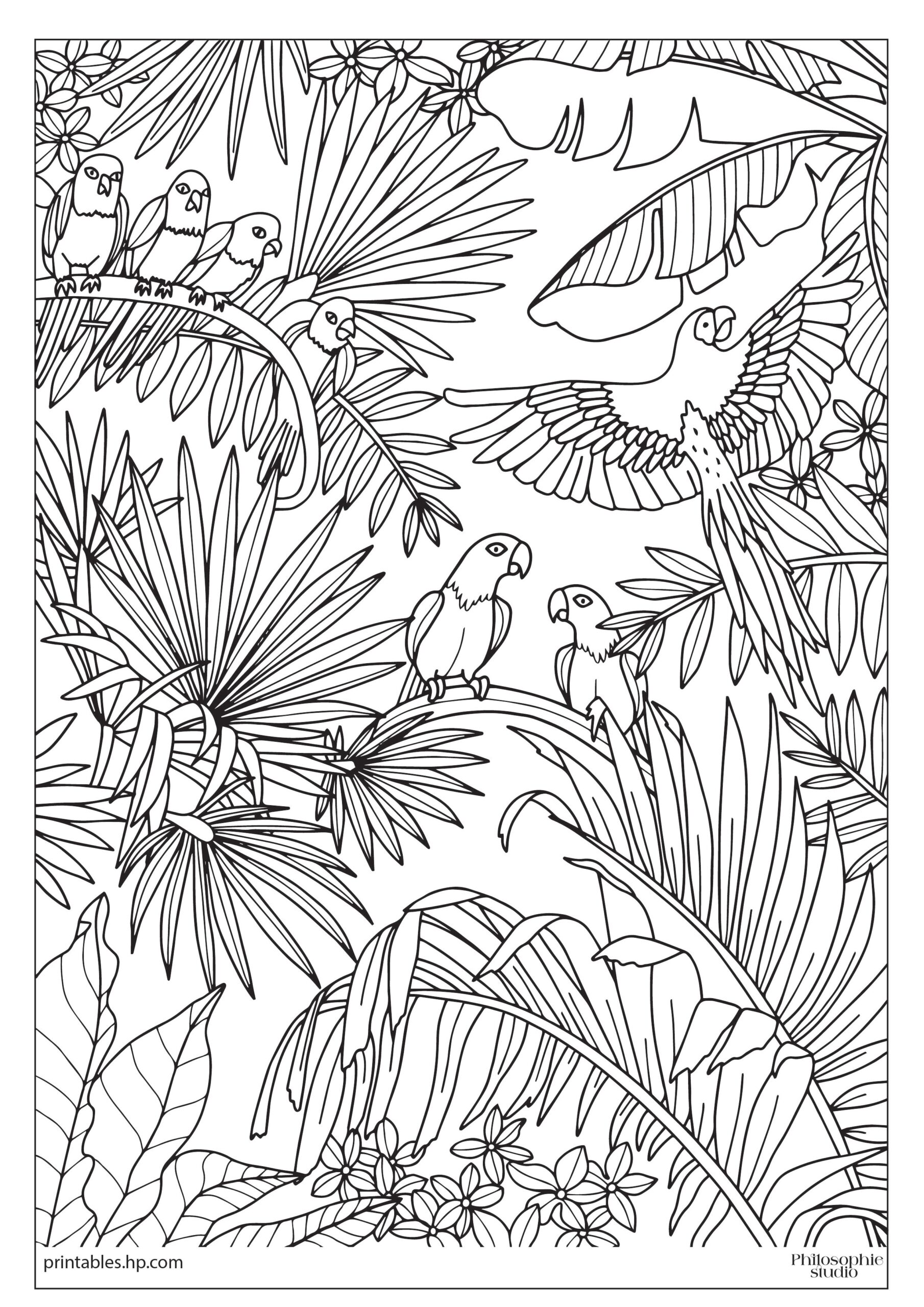 Colouring For Adults Tropical Jungle Printables Free Coloring Pages Learning Worksheets HP Official Site