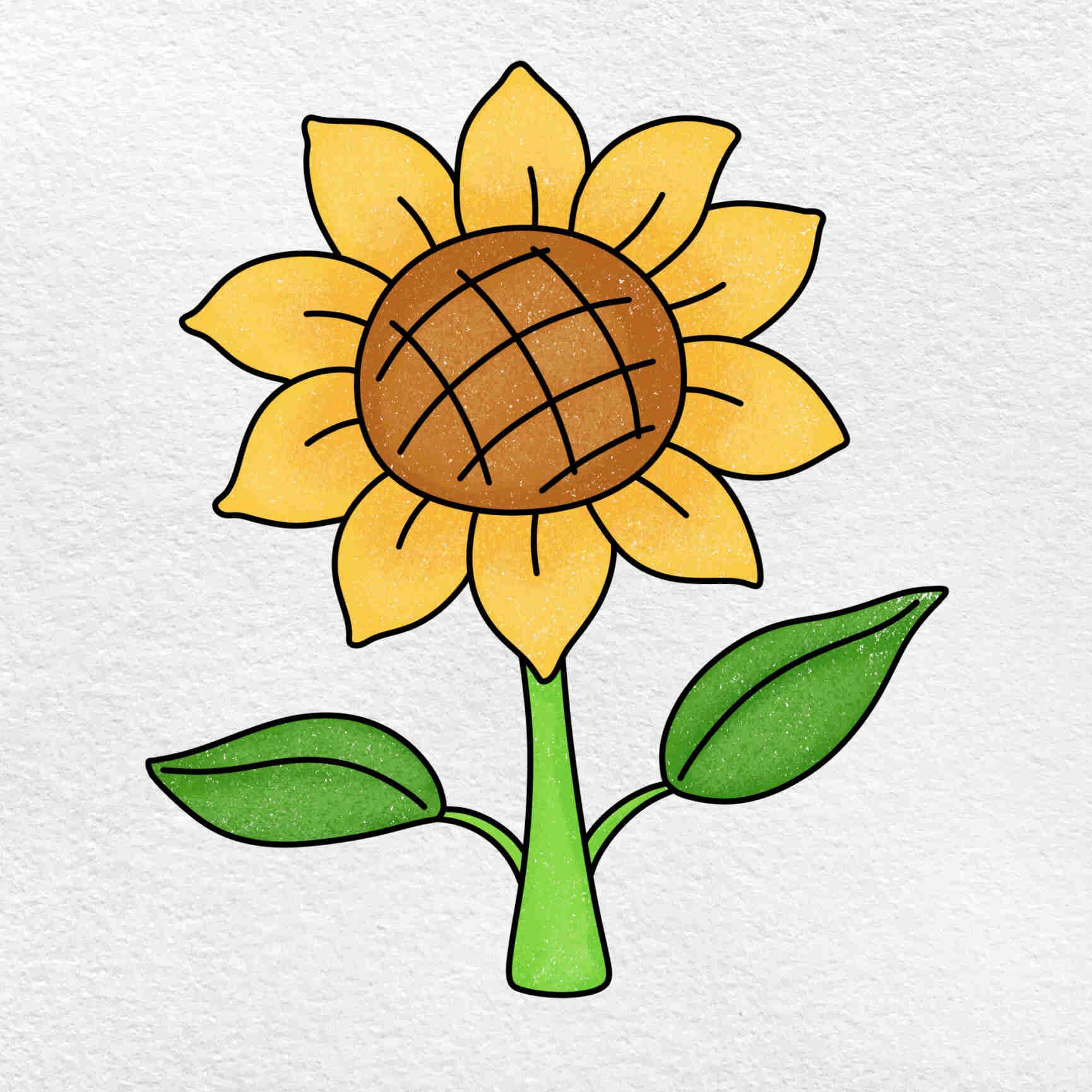 easy sunflower to draw
