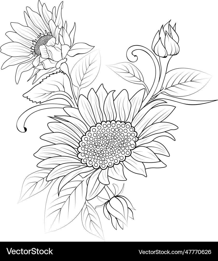 sunflower drawing images free