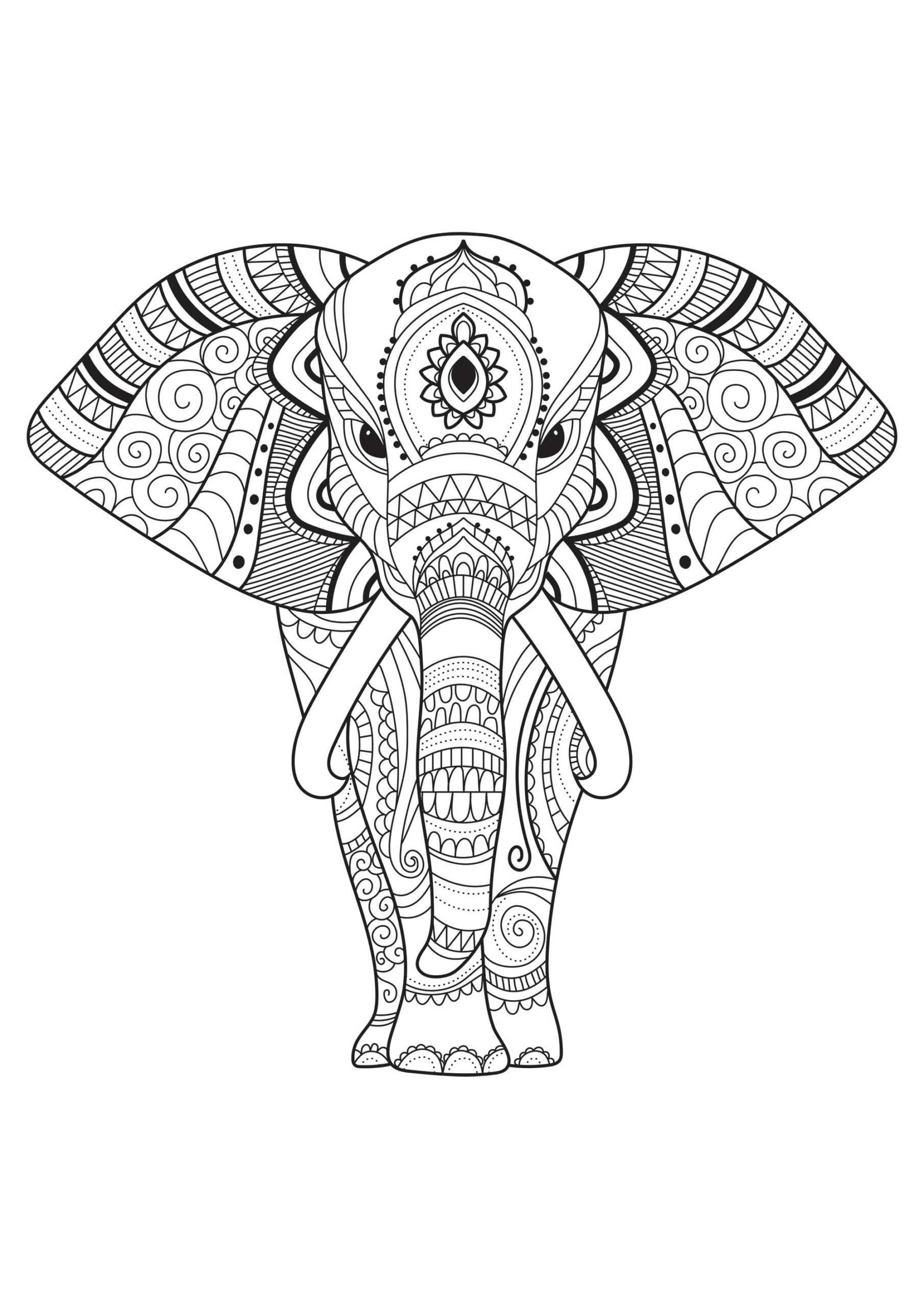 Elephant And Motifs Elephant Coloring Pages For Adults