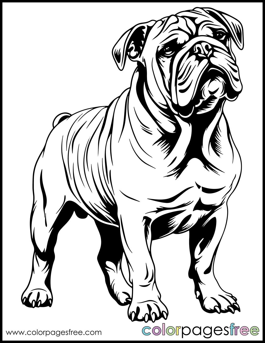 Free Printable Bulldog Coloring Page Colorpagesfree