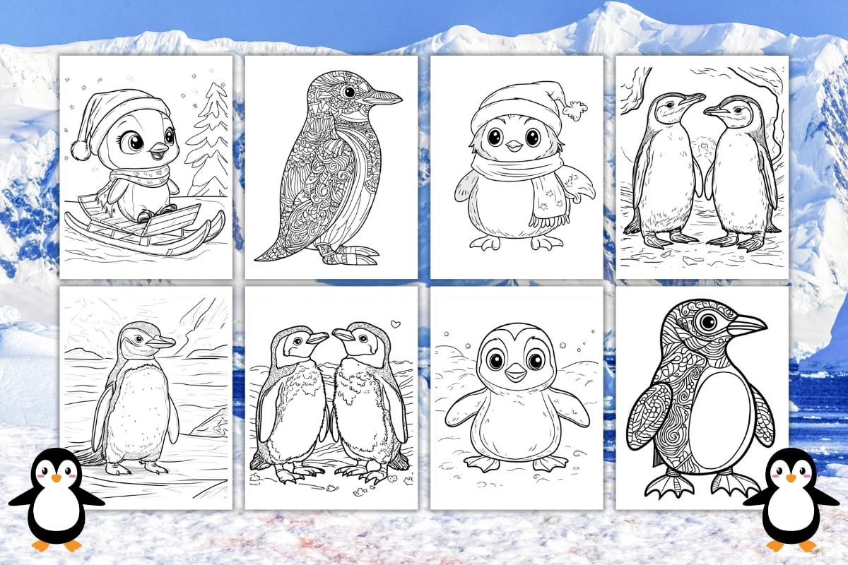 free penguin coloring sheets