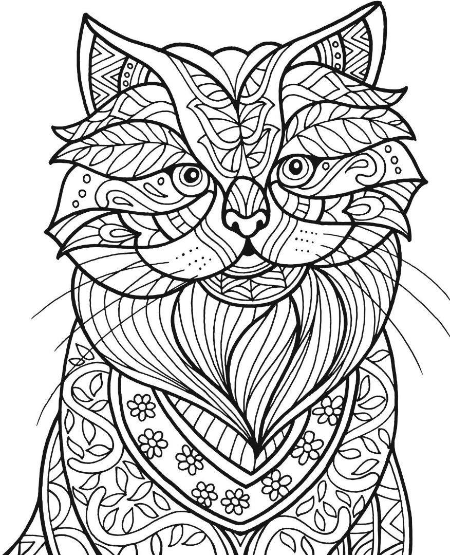 Cat Coloring Pages Adults