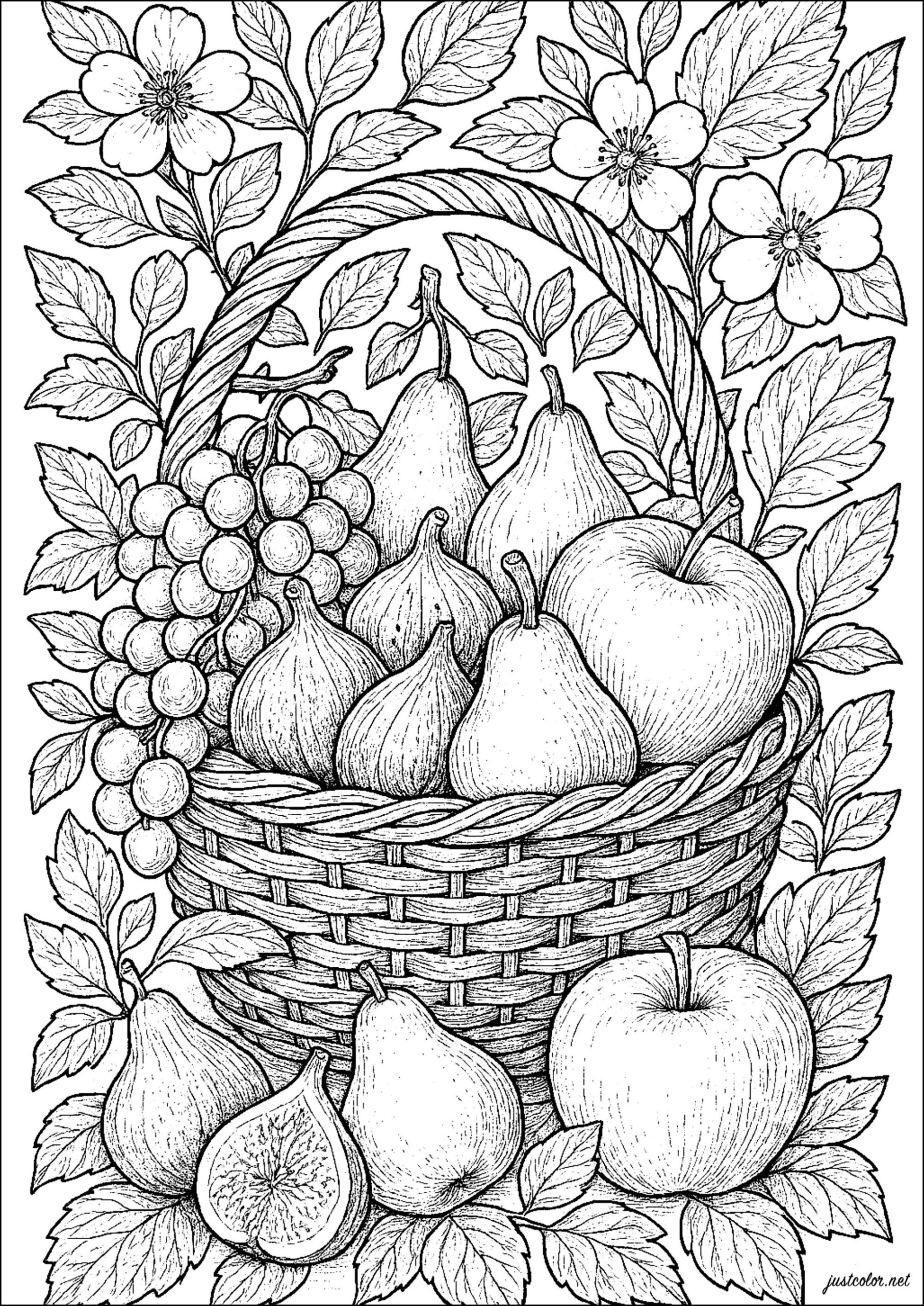 Fruit Basket Figs Grapes And Pears Flowers Vegetation Coloring Pages For Adults