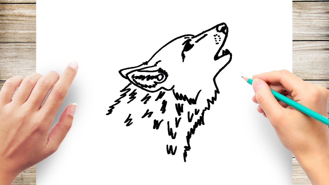 how to draw a wolf howling