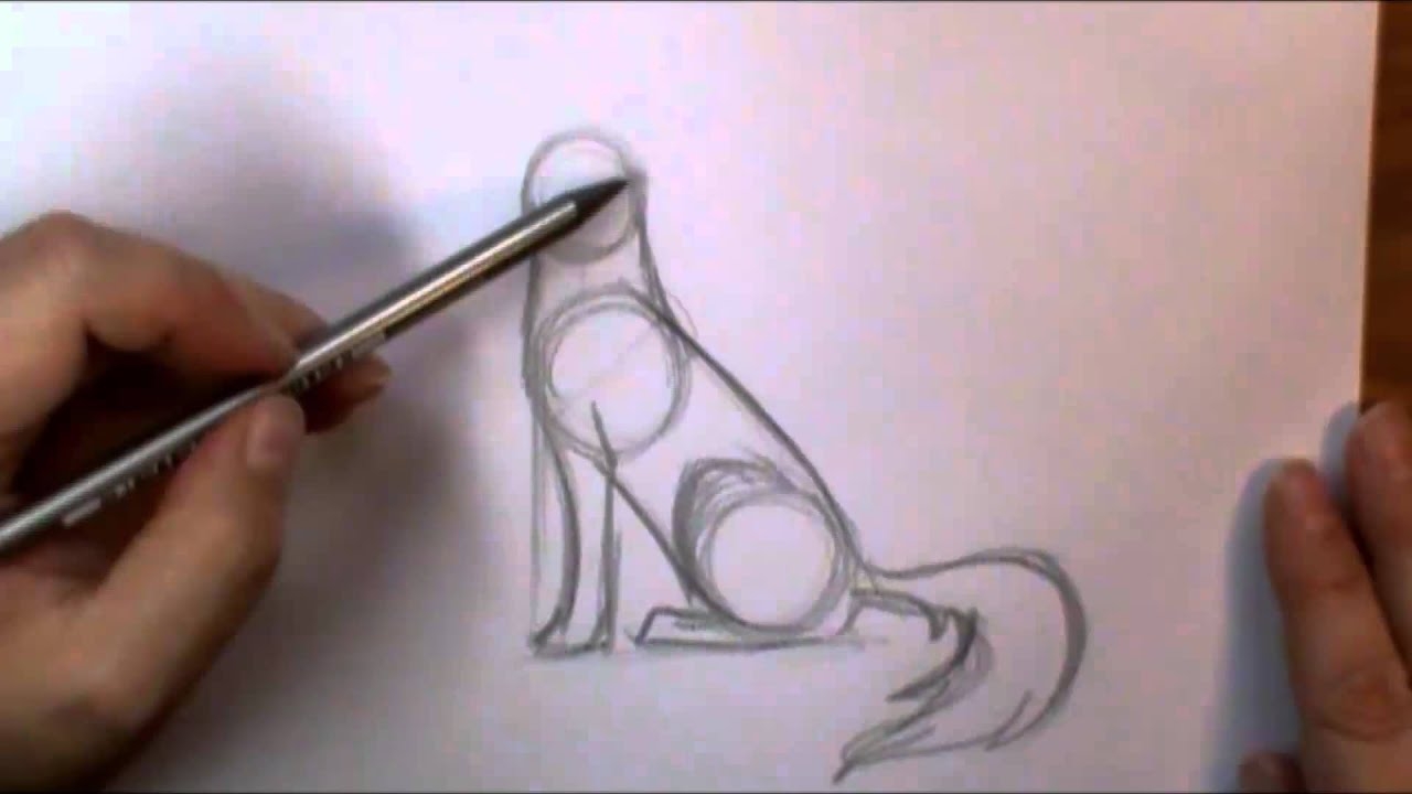 How To Draw A Wolf Howling YouTube