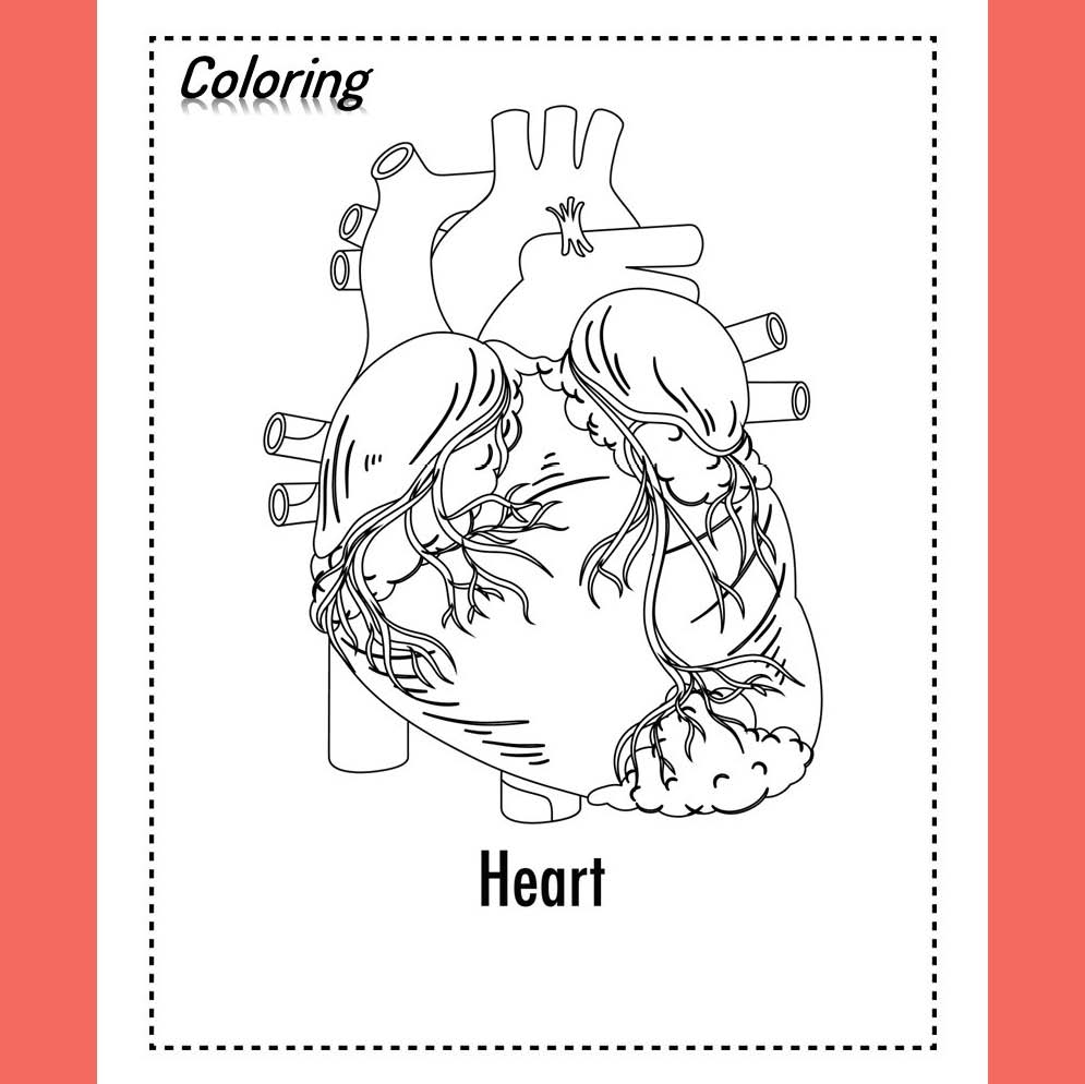 Human Anatomy Coloring Book 32 Illustrations 32 Coloring Pages 100 Facts About Human Body Made By Teachers